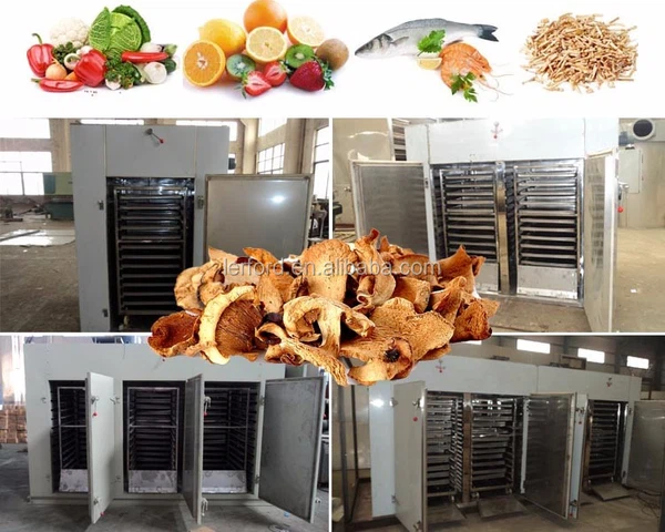 Jackfruit Dryer Machine Jackfruit Dryer Machine