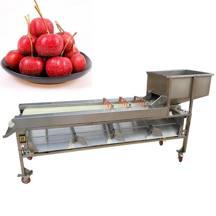 Tomato Sauce Processing Line