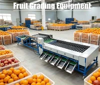 Utstyr for sortering av frukt